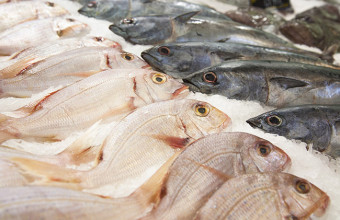 Il pesce è ricco di iodio