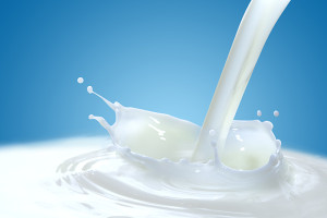 Zuccheri del latte con e senza lattosio