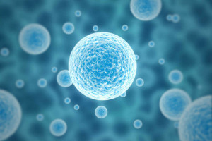Cellule staminali contro le cellule tumorali