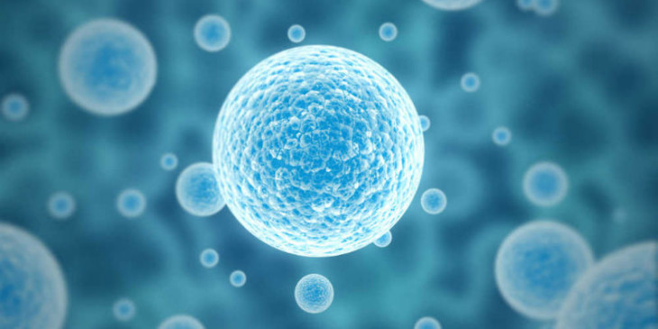 Cellule staminali contro le cellule tumorali