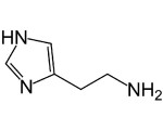 Istamina